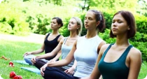 Wellness Program