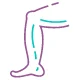 Knee