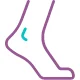 Ankle
