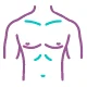 Chest