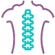 Spine AP/Lateral